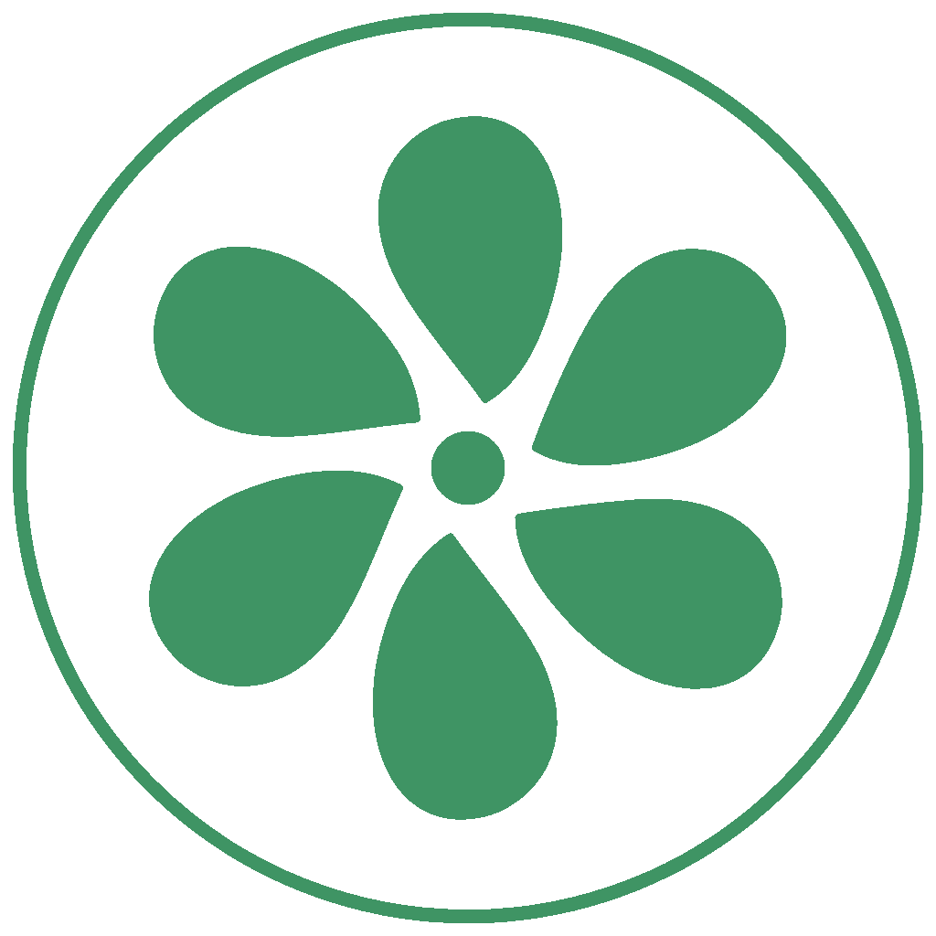 Roulette du Parcours RollArt, niveau Vert complet